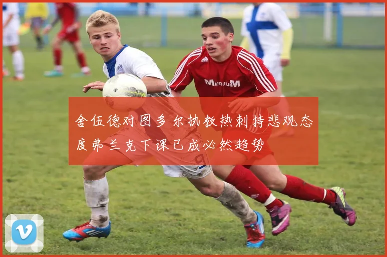 舍伍德对图多尔执教热刺持悲观态度弗兰克下课已成必然趋势