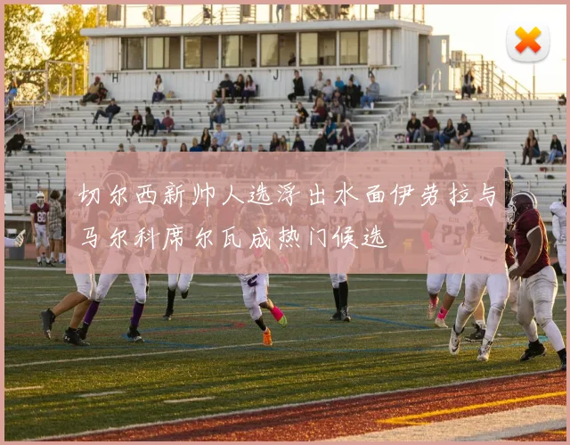 切尔西新帅人选浮出水面伊劳拉与马尔科席尔瓦成热门候选